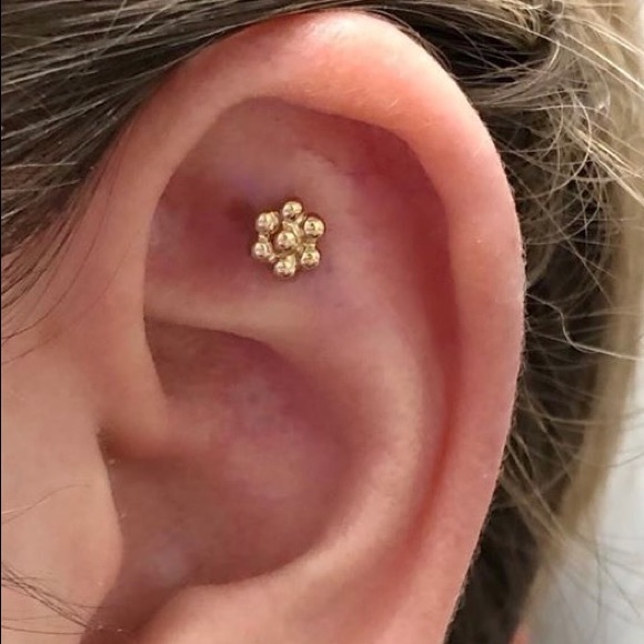 BVLA END - Picture 3 of 9